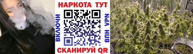 Наркошоп купить COCAIN  Каннабис  Псилоцибиновые грибы  ГАШИШ  Мефедрон  Codein  А ПВП  Малая Вишера