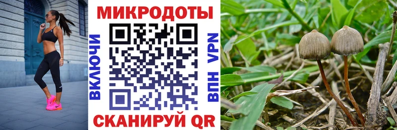 Галлюциногенные грибы Magic Shrooms  Купить  Малая Вишера 