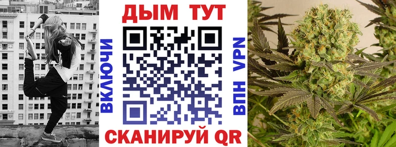 Купить где  Малая Вишера  Канабис VHQ 